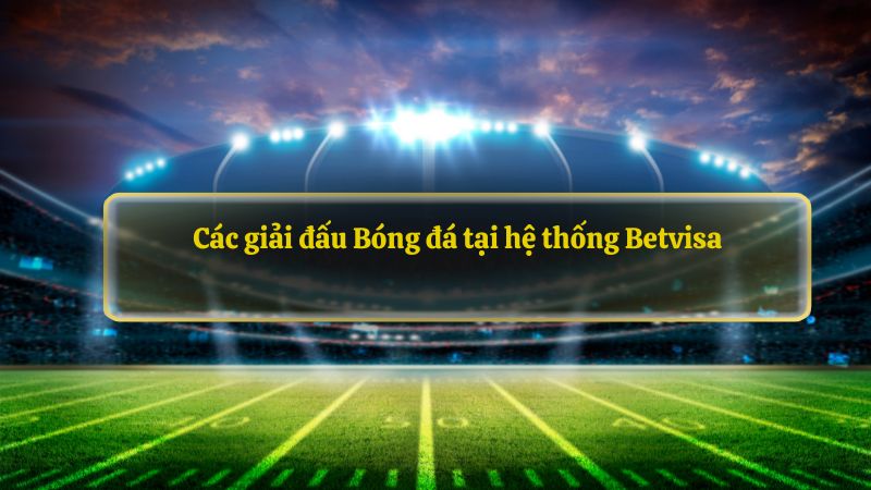 Các giải đấu Bóng đá tại hệ thống Betvisa