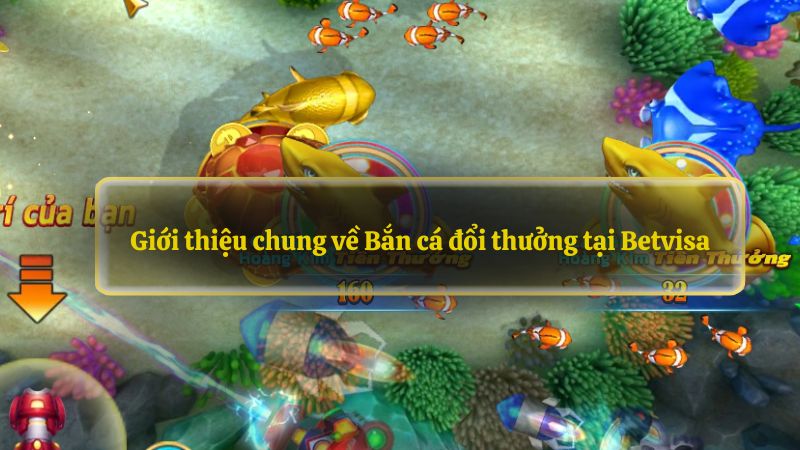 Giới thiệu chung về Bắn cá đổi thưởng tại Betvisa