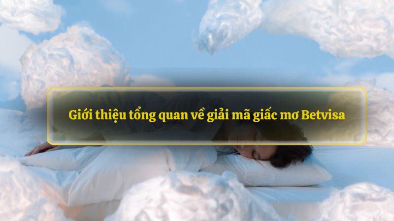 Giới thiệu tổng quan về giải mã giấc mơ Betvisa