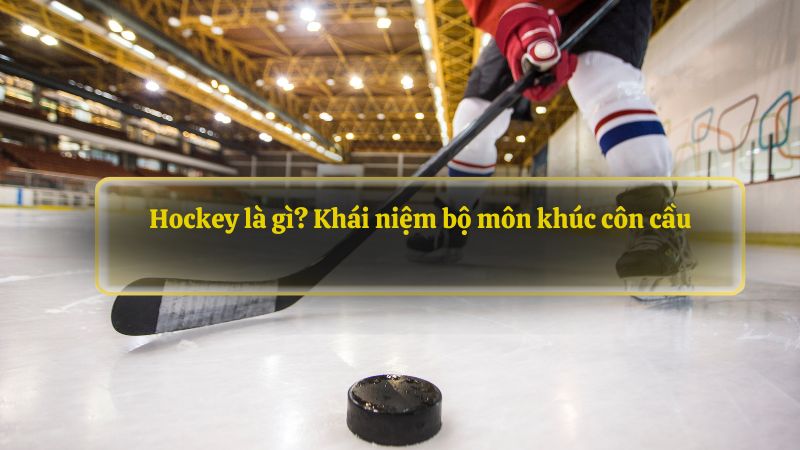 Hockey là gì? Khái niệm bộ môn khúc côn cầu