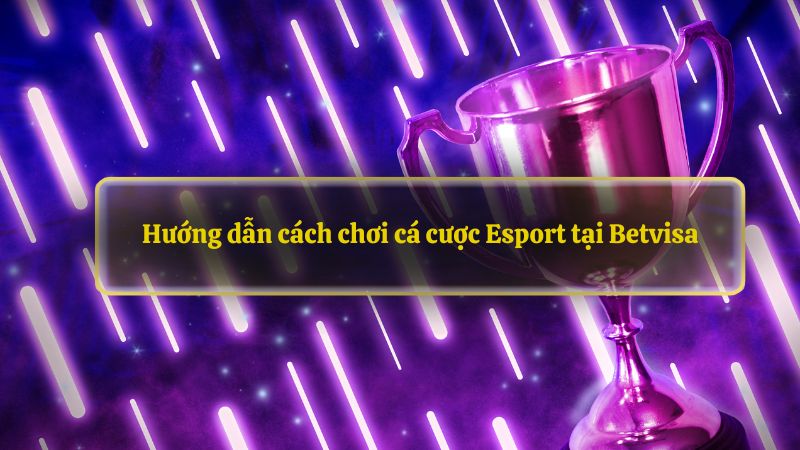 Hướng dẫn cách chơi cá cược Esport tại Betvisa