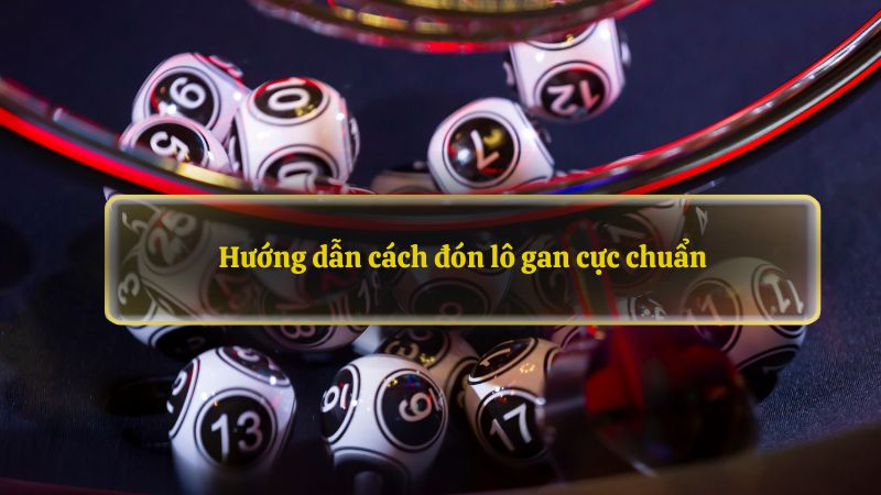 Hướng dẫn cách đón lô gan cực chuẩn