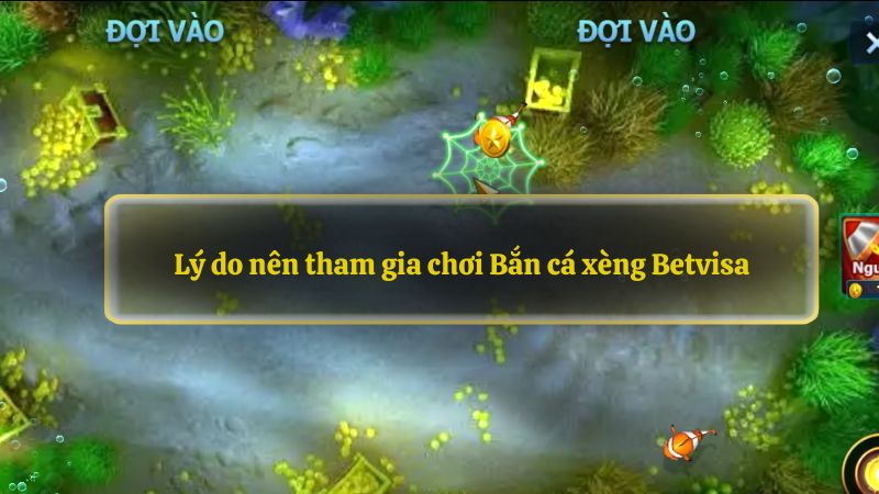 Lý do nên tham gia chơi Bắn cá xèng Betvisa