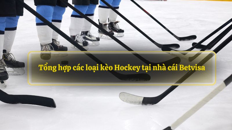 Tổng hợp các loại kèo Hockey tại nhà cái Betvisa