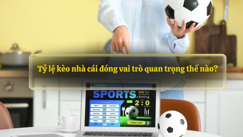 Tỷ lệ kèo nhà cái đóng vai trò quan trọng thế nào?